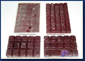 Bloodworm chocolate