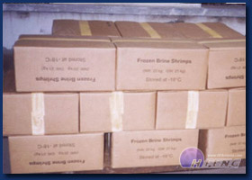 1 kg plates in cartons
