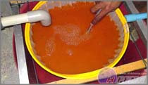3. Temperature: optimal temperature is 28 for 26 hours. 3. Temperature: optimal temperature is 28 for 26 hours.
