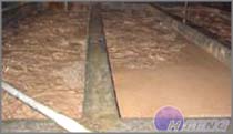 2. Put the artemia cysts into pool for cleaning, deposit. 2. Put the artemia cysts into pool for cleaning, deposit.