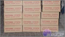 10. Lastly to pack the artemia cysts in a carton. 10. Lastly to pack the artemia cysts in a carton.
